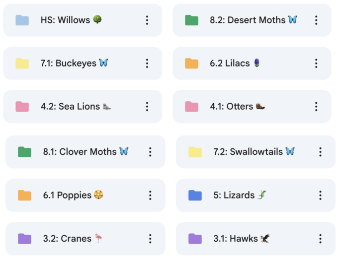 Screenshot of google folders